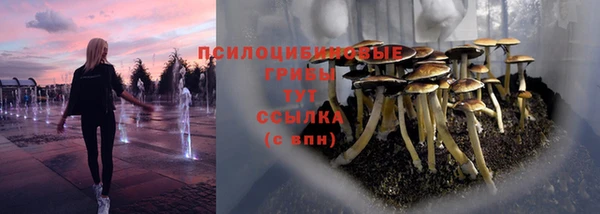 мяу мяу мука Аркадак