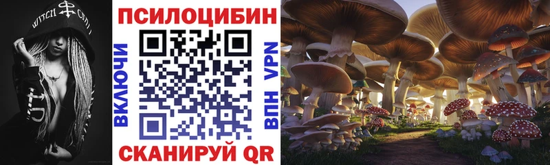 Купить закладки  Спас-Деменск  Галлюциногенные грибы Magic Shrooms 